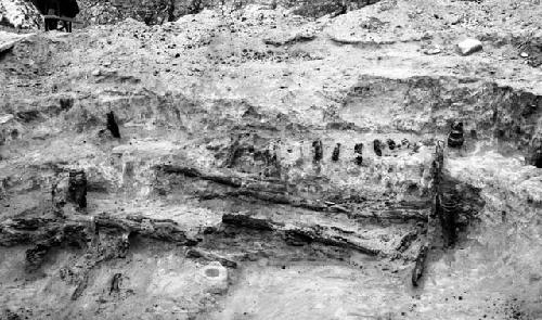 Red Hill site, structure 203, charred roof beams