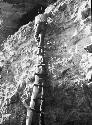 Ladder Improvised to enter Saddle Mountain Cliff