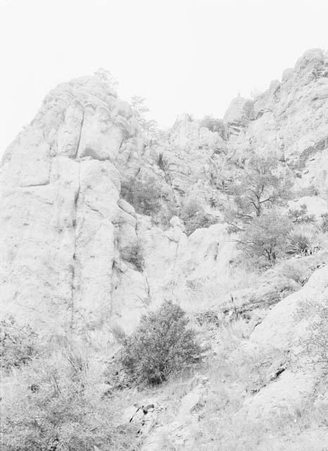 Trail down to cave on Mule Creek