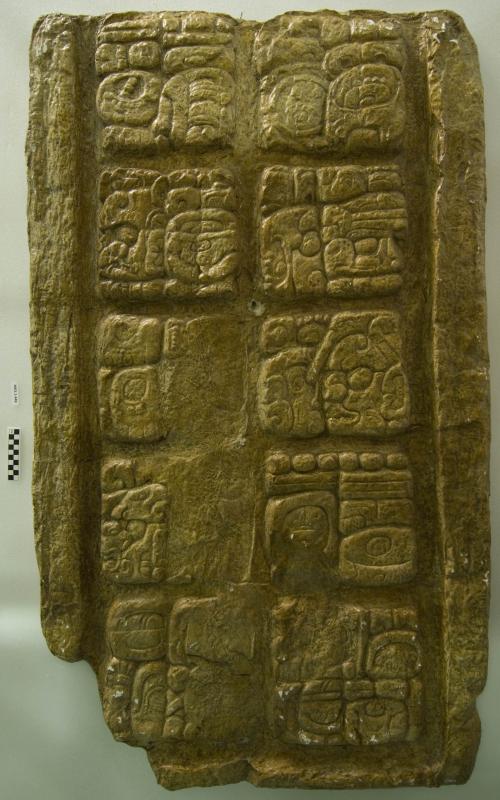 Cast of part of Stela 6, Seibal; lower section, (shellac)