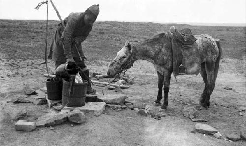 Man pouring water into a wooden bucket for pony