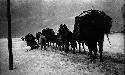 Horse caravan in snow