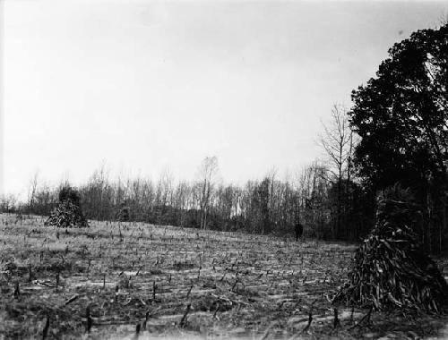 Monacan site on right bank of James River at Hugnenot Springs