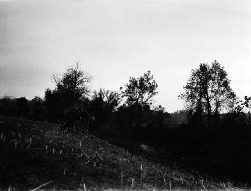 Monacan site on right bank of James River at Hugnenot Springs