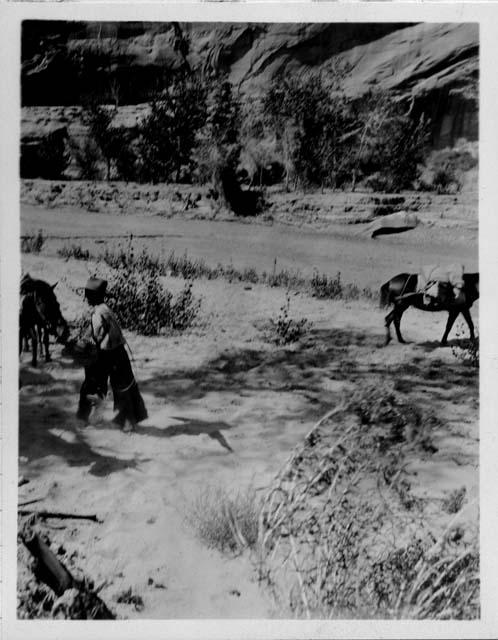 Chaffin, rear end of Bownie. Barrier Canyon