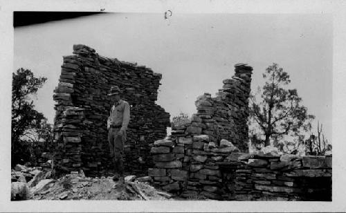 Site in Ruin Park that has been dug out