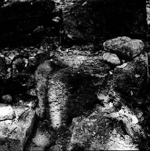 Column base on main temple at Topoxte