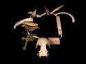 Necklace of leather thong w/ bone, animal teeth, a ring, metal cross, and coin