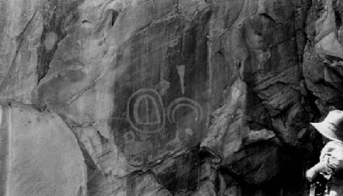 Scutiform and other pictographs, Fruita