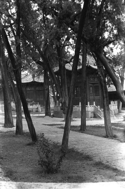 Avenue, Confucian temple