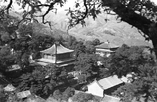 Main buildings, Chieh T'ai Ssu, from under tree