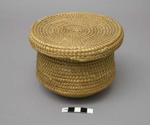 Witch doctor's basket containing meal, chicken claw and head