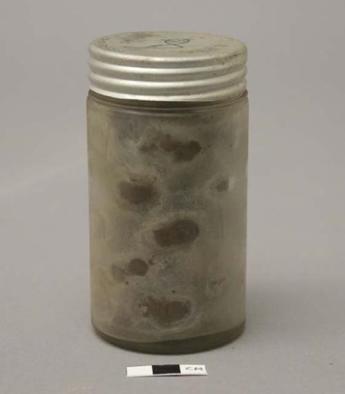 Bottle containing kernels of nuts