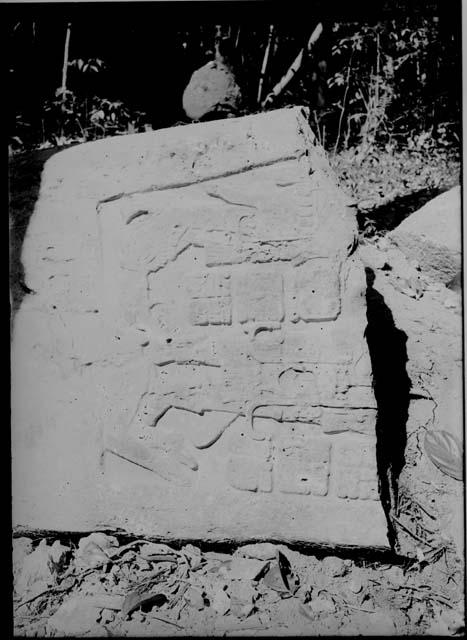 Stela - Lower Part