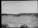 Foreground "Yapus"(gardens). Background walls of tomb of the mass. Rivero group