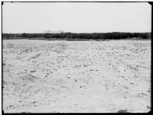 Remains of side canals which ought to be connected with reservoir el Mampuesto