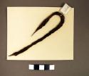 Cordage fragment