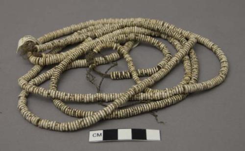 Ostrich shell necklace, likely on sinew cord