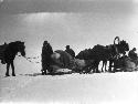 Near Chuguchak [Tacheng], Eleanor Lattimore and sled in snow