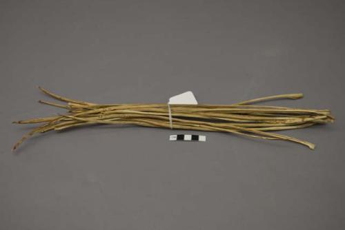 2 reeds - used for fibre