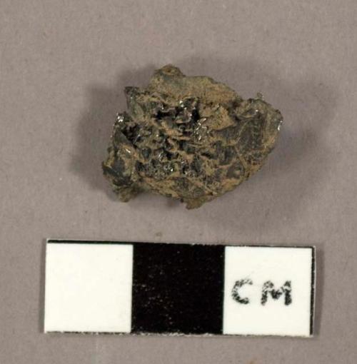 Coal fragments