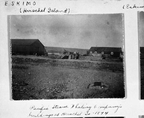 Pacific Steam Whaling Company's buildings at Herschel Islands, 1894