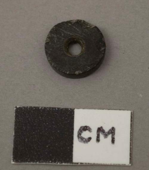 Lignite fragment and 1 lignite bead