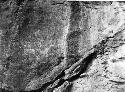 Utah rock painting, zoomorphic. Memo D15