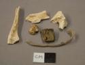 Calcined animal bone fragments; calcined animal tooth fragment; partially burned wood fragment; stone, likely non-cultural; braided twine fragment