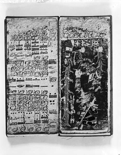 Dresden Codex