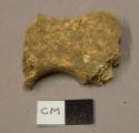 Organic, animal bone fragment