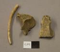 Animal bone fragments