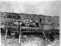 Navajo weavers and their homes and flocks