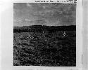 Photograph from book, Rock Art from South Africa by A.R. Wilcox