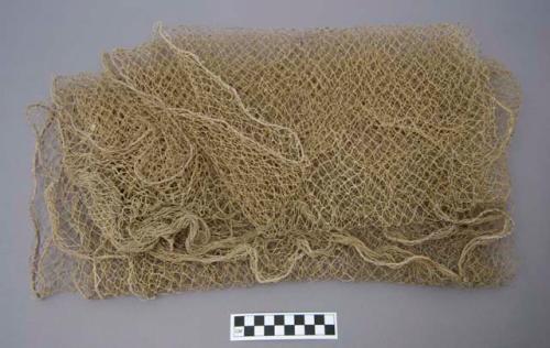 Fishing net