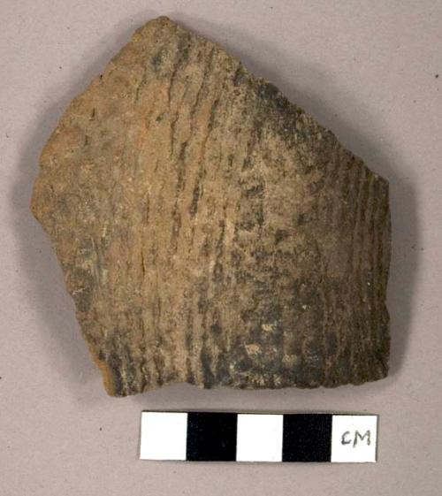 Sherd