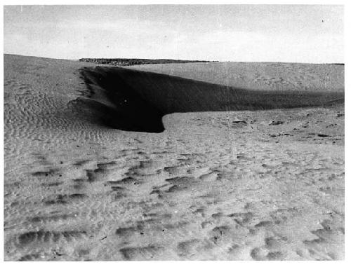 Photo of Sand dunes north of Awatovi