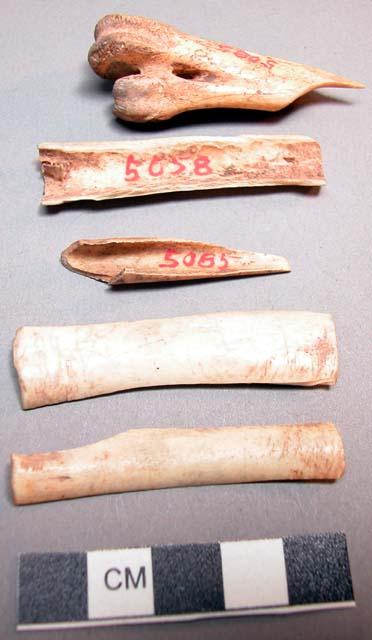 Bone fragments, possible tubular bead; two bone points