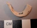 Shell, bivalve rim fragment, worked