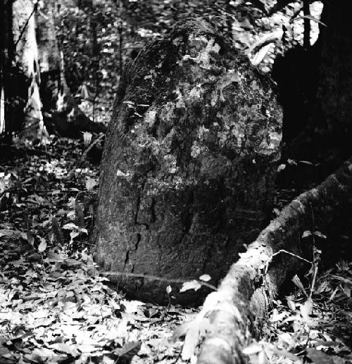 Stela 12 at Yaxha