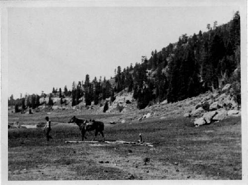 Forbes and Horse, Upper Willow Creek; July 21