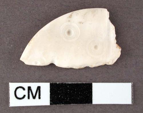 Shell, fragment with two partial perforations and incisions