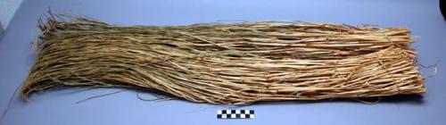 Bunches of aleutian grass