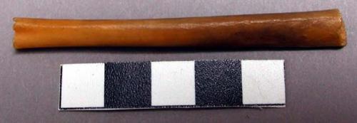 Feather with bead attached, and bone tube--ceremonial object