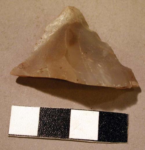 Stone chip (edge tool?)