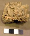 Organic, possible petrified bone conglomerate, various bones included