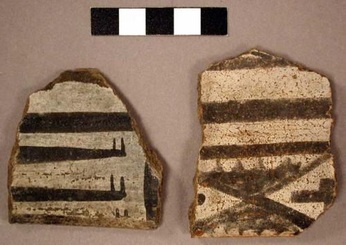 Ceramic rim sherds