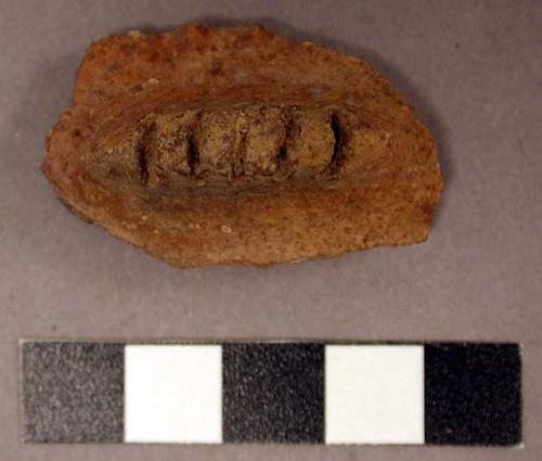 Ceramic body sherd, wing fragment