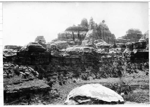 Salt Creek Canyon at mouth of Beef Basin Canyon