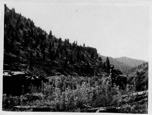 Willow Upper Cabin; Hazelbrush Upper Ranch